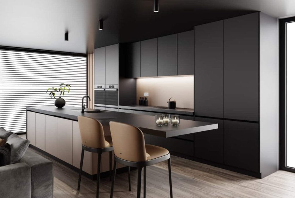 Sleek matte black kitchen cabinets paired with stainless steel appliances.