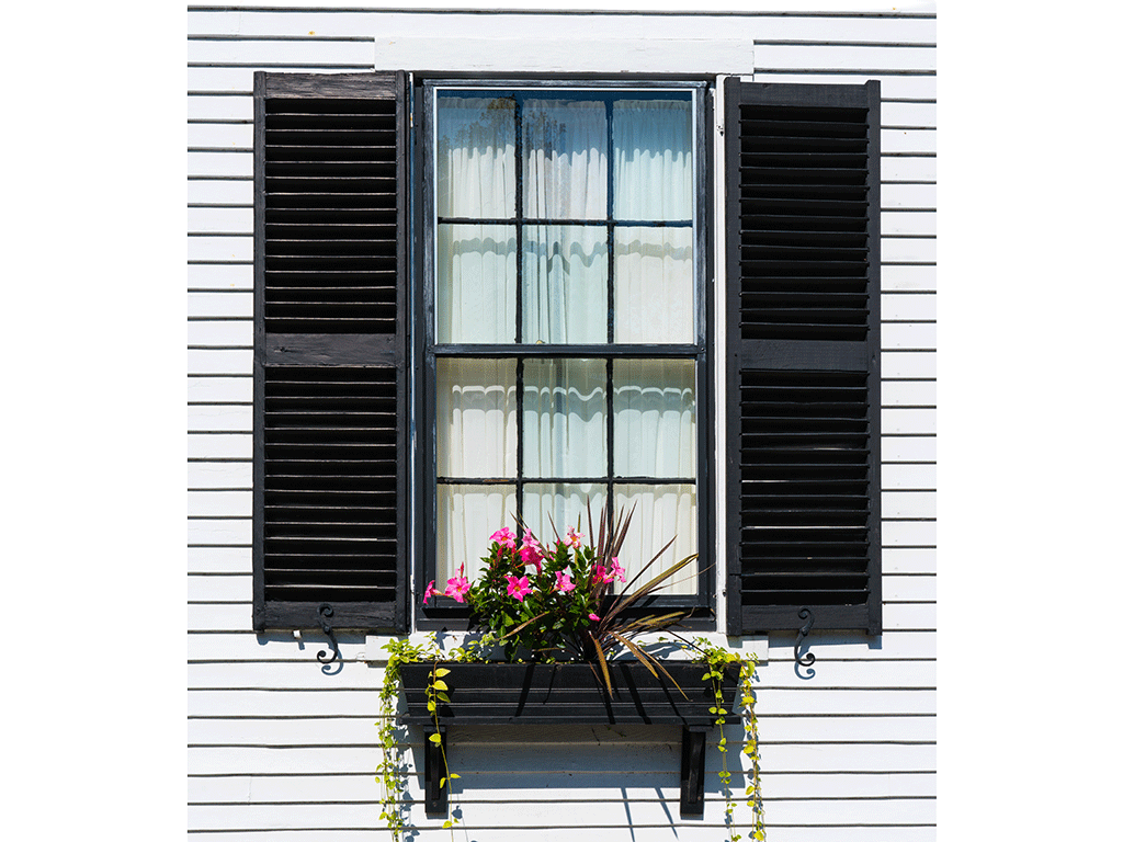 Colonial style window with black shutters and pink flowers in a flower box